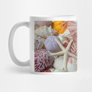 White Starfish With Sea Urchins Mug